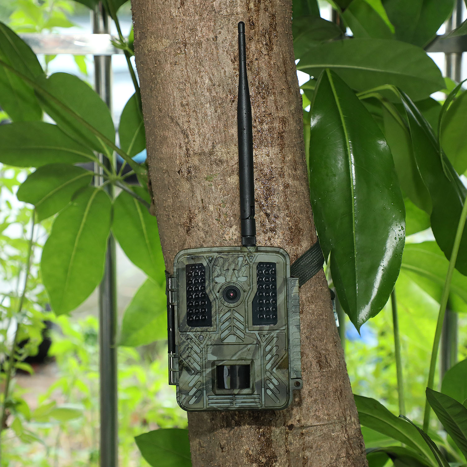 Caméra de faune WIFI alimentée par batterie sans fil extérieure 32MP 2.7K 